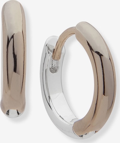 Cercei Lauren Ralph Lauren pe auriu / argintiu, Vizualizare produs