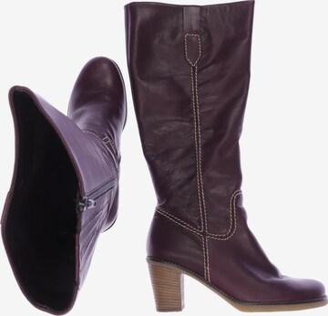 GABOR Dress Boots in 39 in Purple: front