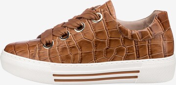 GABOR Sneakers 'Comfort Florenz 66.464' in Brown