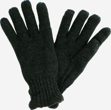 SAMAYA Full Finger Gloves in Grey: front