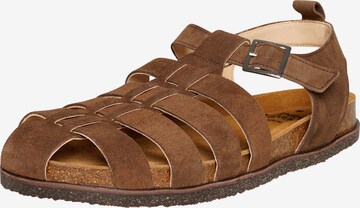 Henry Stevens Sandalen 'Drew FSI' in Bruin: voorkant