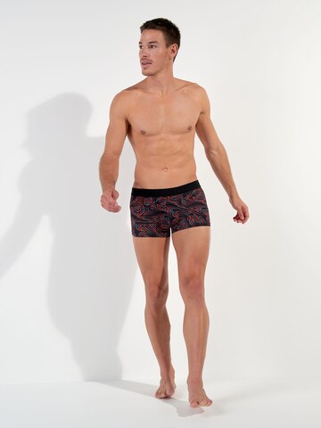 HOM Boxershorts ' Tanzania ' in Zwart: voorkant