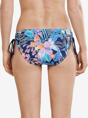 SCHIESSER Bikini Bottoms 'Aqua Mix & Match' in Mixed colors