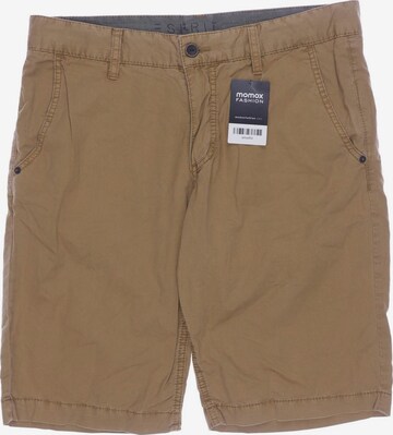 ESPRIT Shorts in 32 in Brown: front