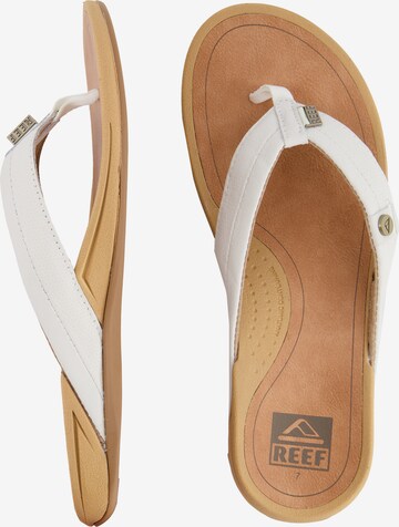 REEF Beach & Pool Shoes 'Pacific' in White