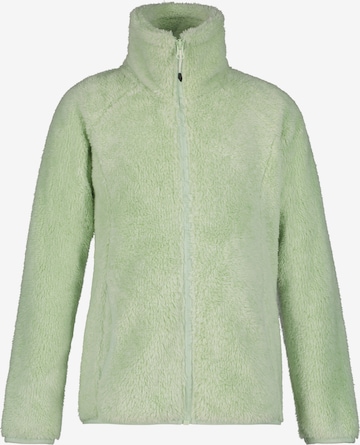 ICEPEAK Athletic Fleece Jacket in Green: front
