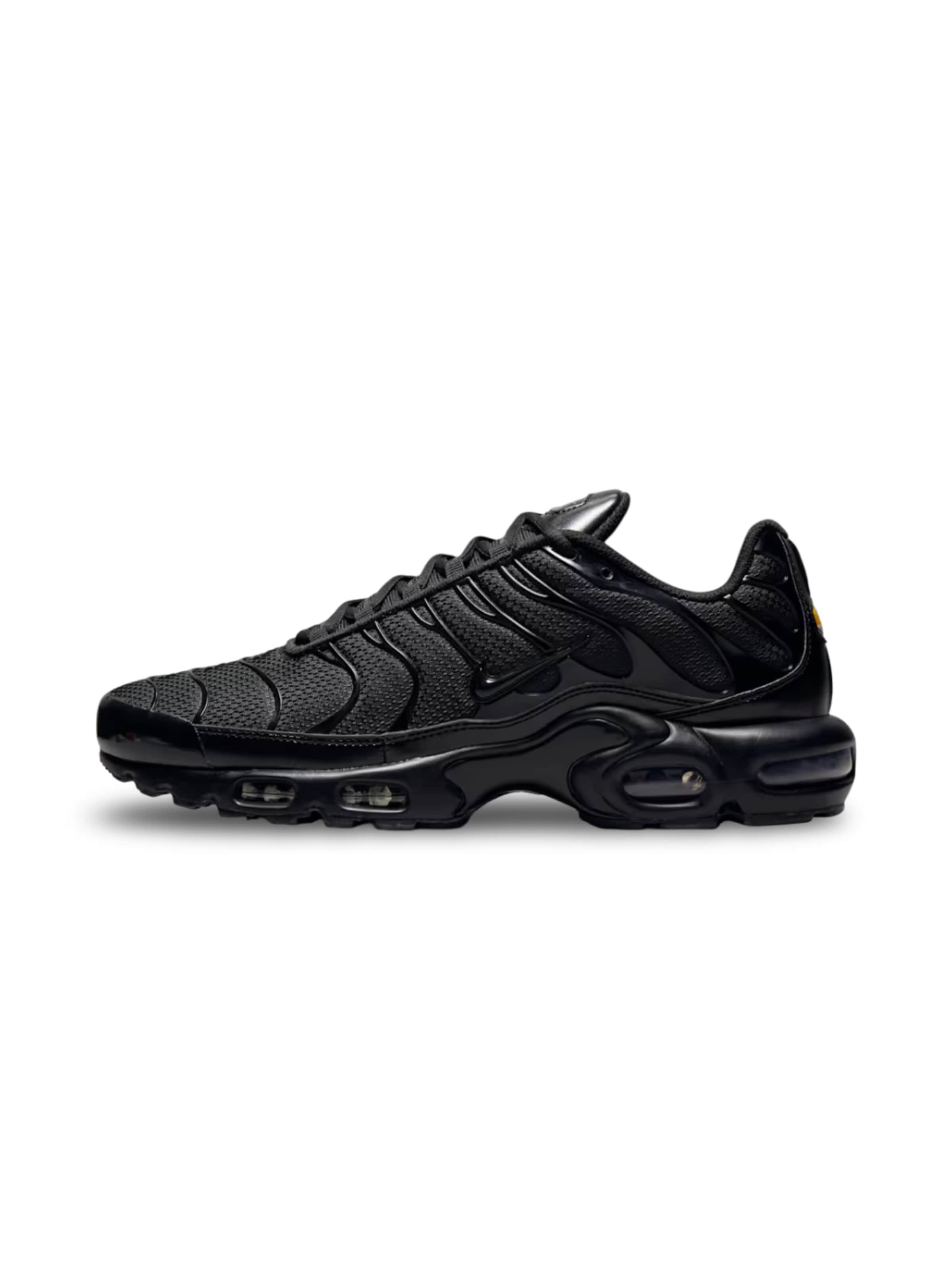 NIKE Sneakers 'Nike Air Max Plus Triple Black' in Black: front
