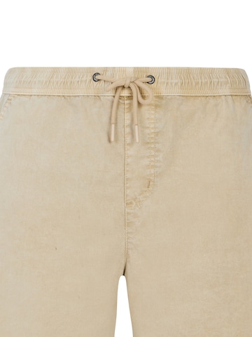 PROTEST Regular Hose 'PRTNivel' in Braun