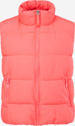 comma casual identity Bodywarmer in Roze: voorkant