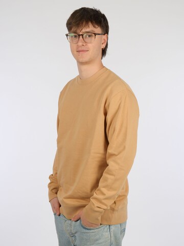 glore Sweatshirt 'Raiiner' in Braun