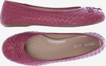 GEOX Flats & Loafers in 40 in Pink: front