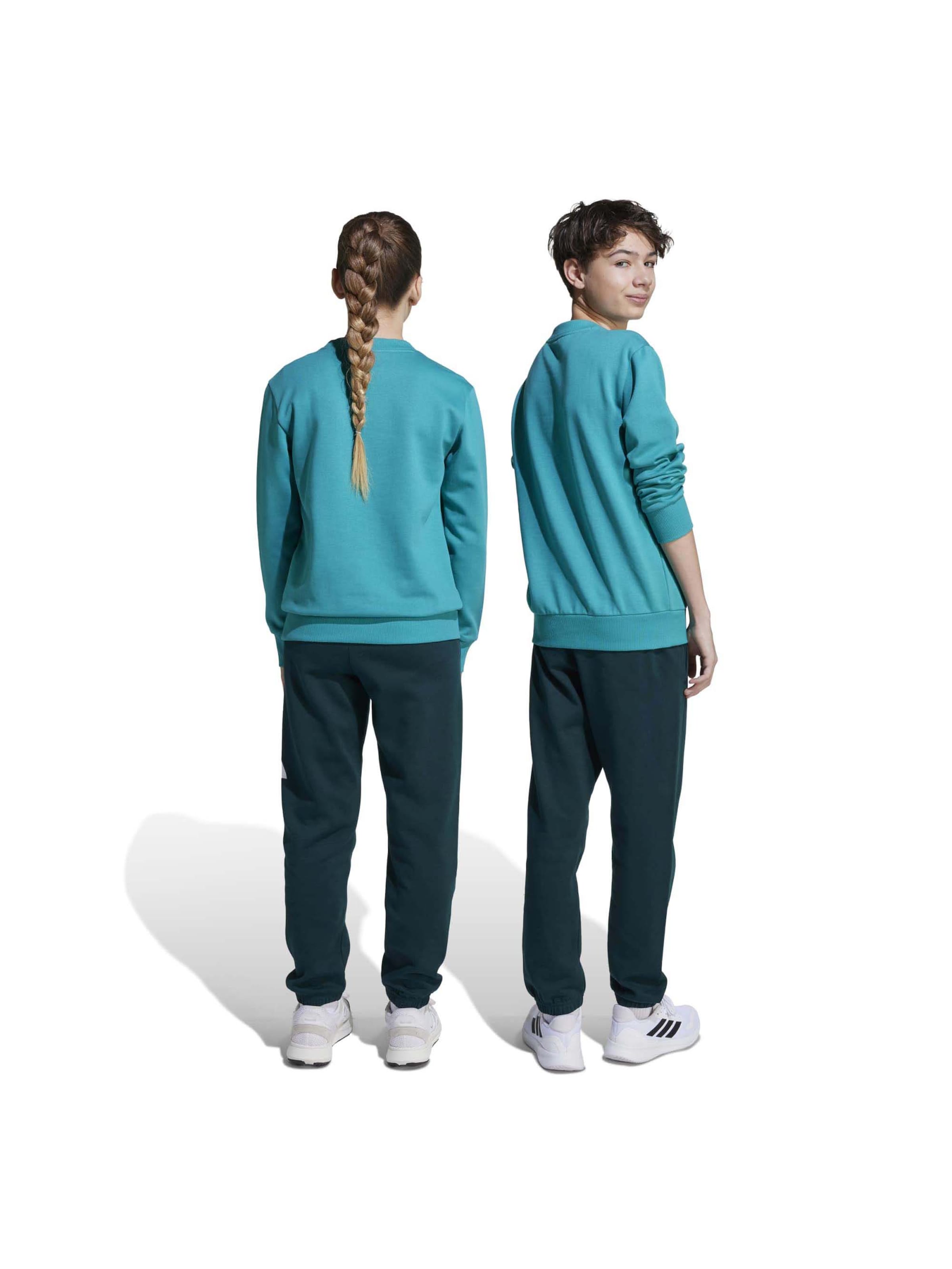 ADIDAS SPORTSWEAR Тренировочный костюм в Зеленый