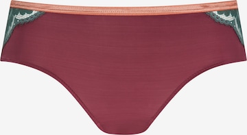 Mey Panty 'Poetry Vogue' in Rot: Vorderseite