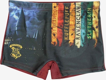 Harry Potter Board Shorts 'Harry Potter' in Red: front