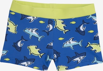 Chicco Uimahousut värissä sininen: etupuoli