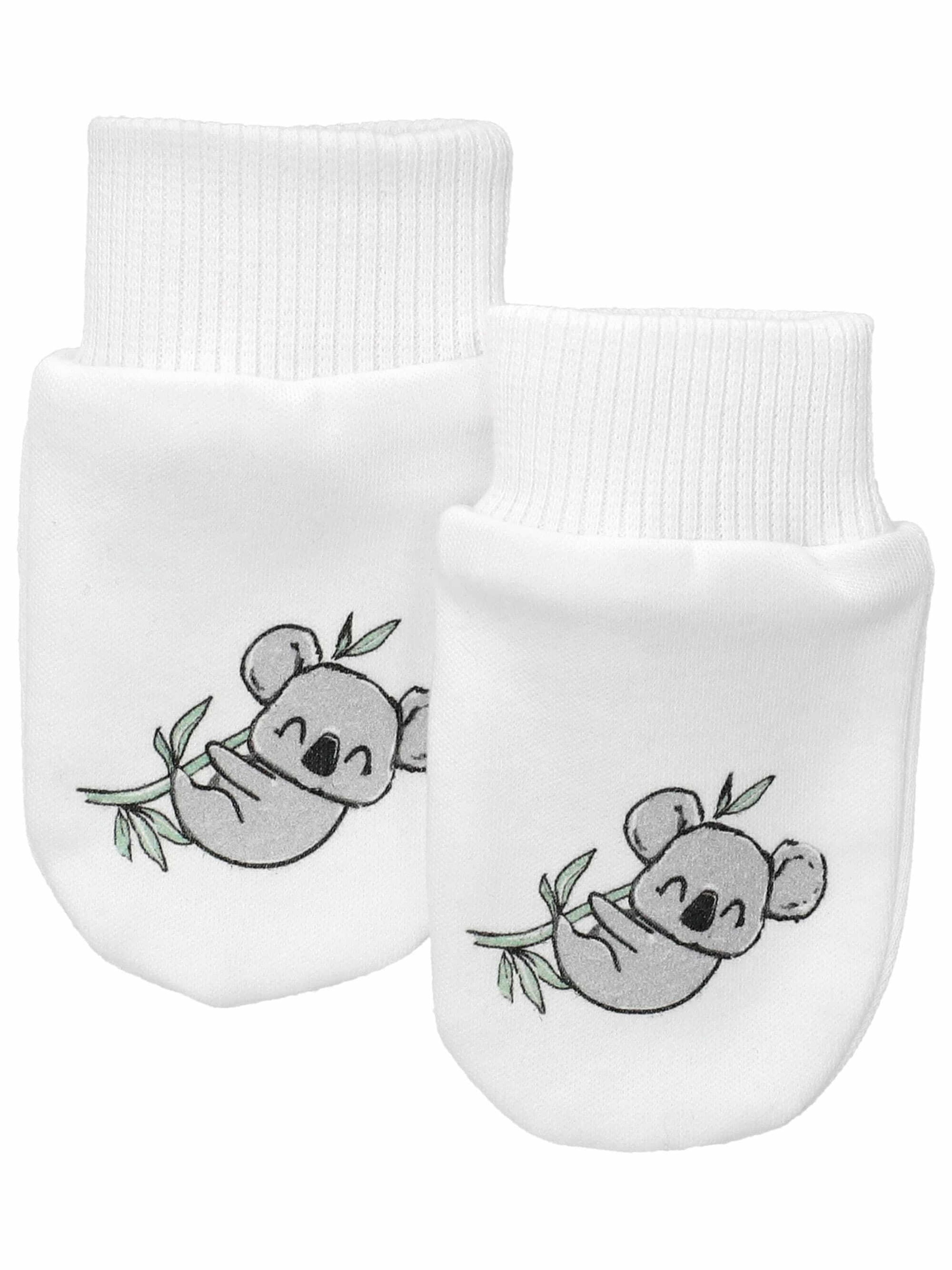 Baby Sweets Gloves 'Baby Koala' in White: front
