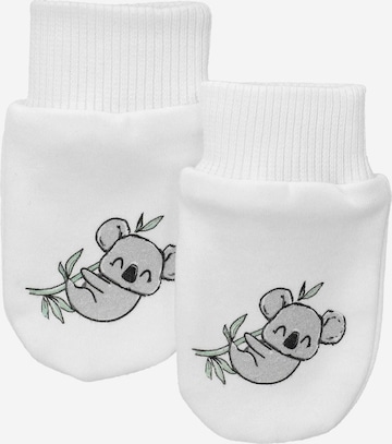 Baby Sweets Gloves ' Baby Koala ' in White: front