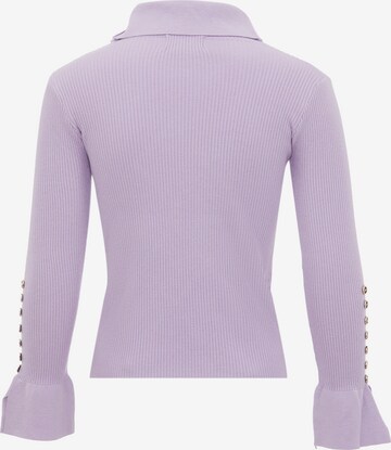 leo selection Sweater in Purple
