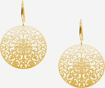Gemshine Earrings in Gold
