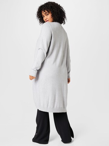 EVOKED Knit Cardigan 'RIL' in Grey