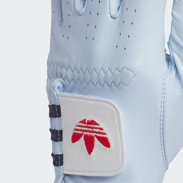 ADIDAS PERFORMANCE Sporthandschoenen in Blauw