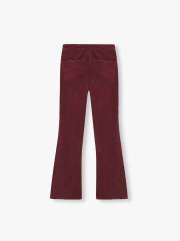 Scalpers Boot cut Pants 'Corduroy' in Red