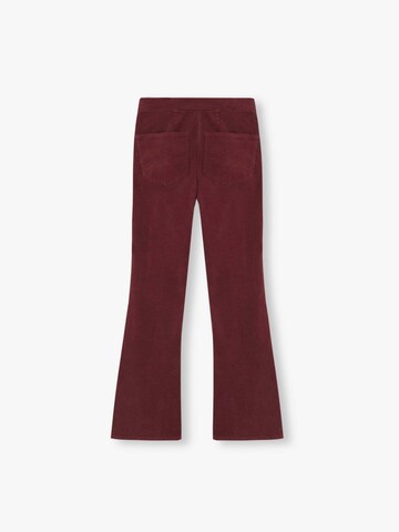 Scalpers Bootcut Bügelfaltenhose 'Corduroy' in Rot