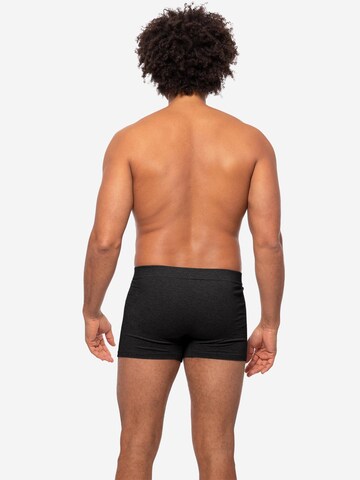 Almonu Boxer shorts 'Every Day Comfort' in Grey