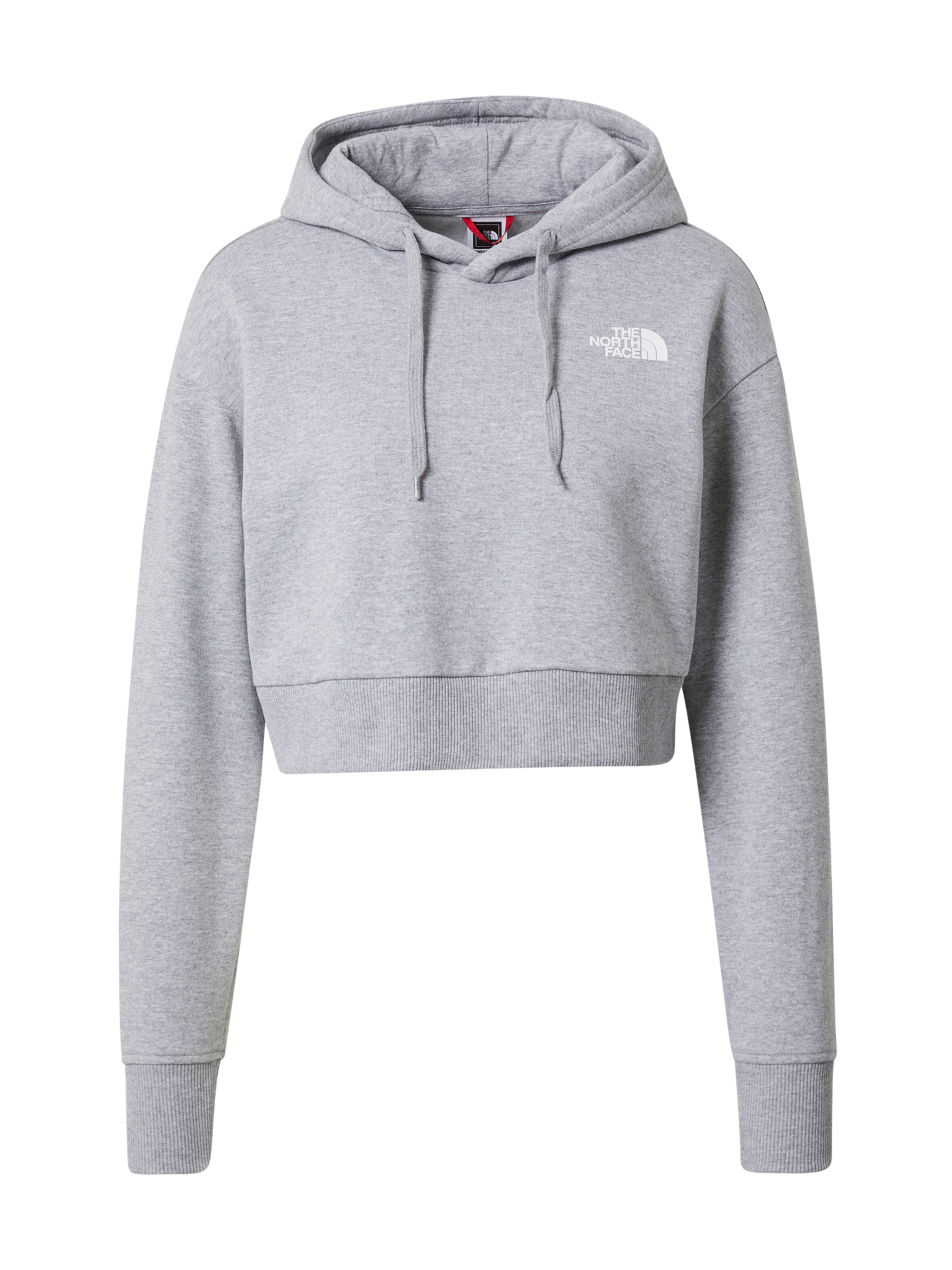 THE NORTH FACE Μπλούζα φούτερ σε γκρι: μπροστά