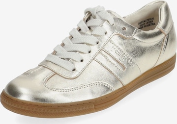 Paul Green Sneakers in Gold: front