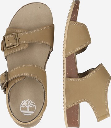 TIMBERLAND Sandals 'Castle Island' in Beige