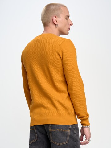 Pull-over ' REYLI ' BIG STAR en orange