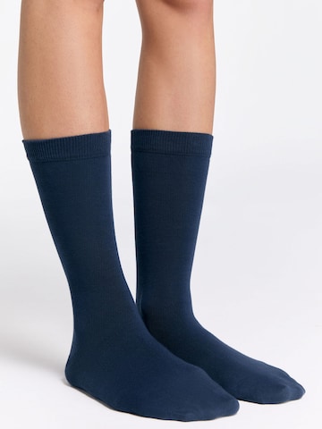 Albero Natur Socks 'Classic' in Blue