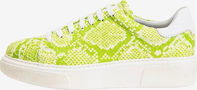 INUOVO Baskets basses en citron vert / blanc, Vue avec produit