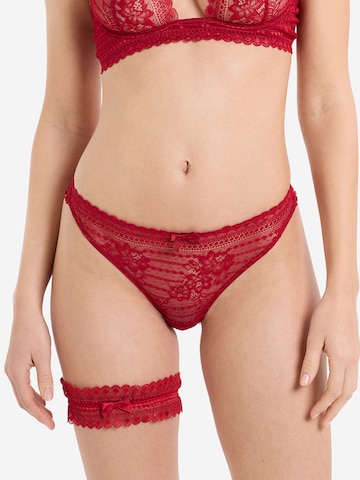 Reggicalze 'Panama' di ETAM in rosso