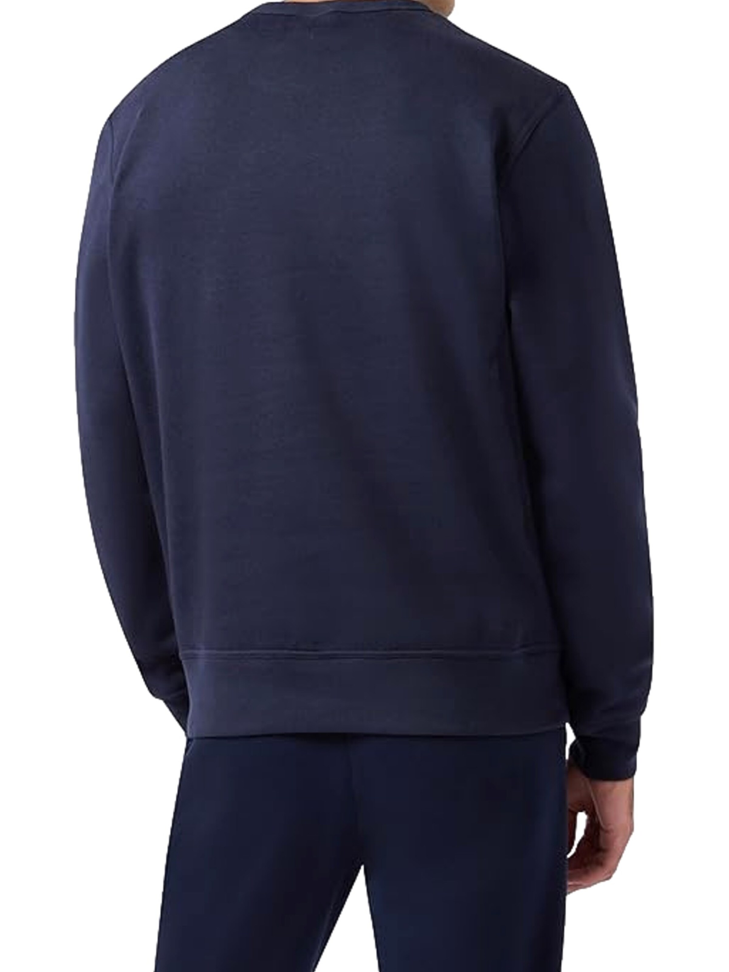 Champion Authentic Athletic Apparel Sweatshirt in Blue