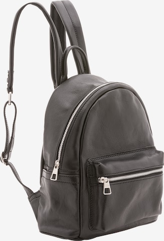 Viola Castellani Backpack in Black: front