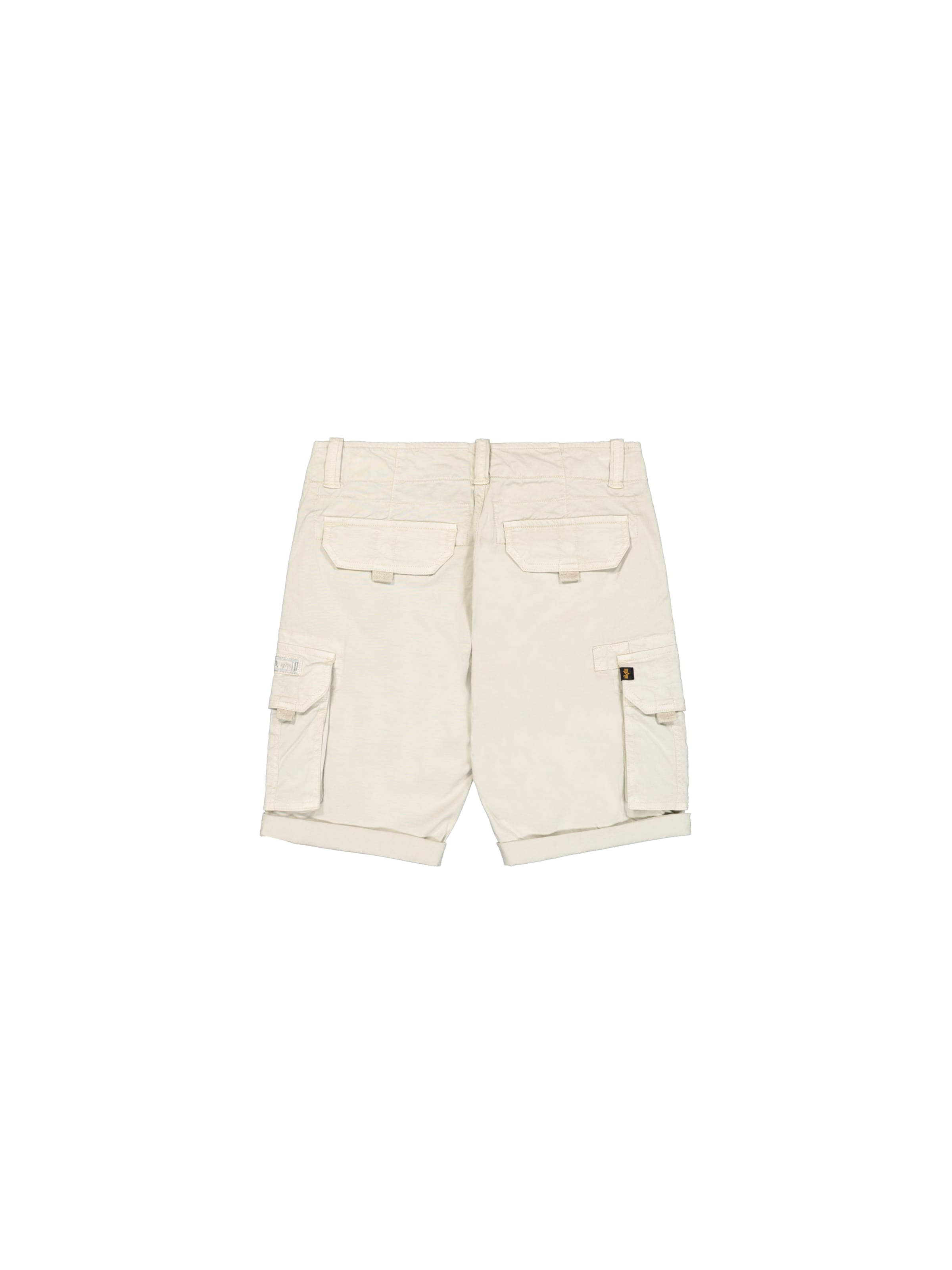 ALPHA INDUSTRIES Liibuv Püksid, värv hall