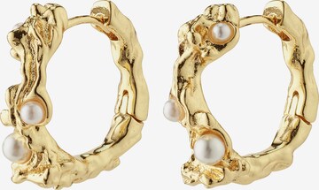 Pilgrim Earrings 'RAELYNN' in Gold: front