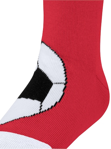 FALKE Socken 'Active Soccer'‌‌ in Rot