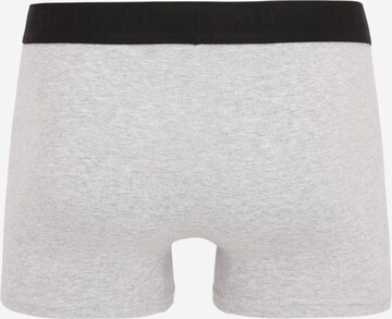 Boxers Superdry en gris