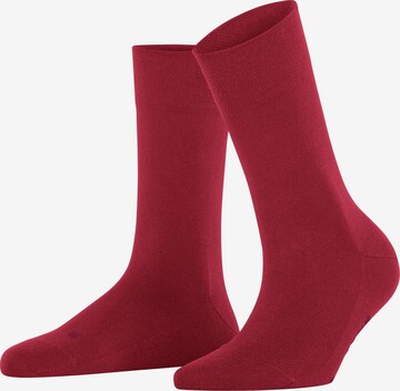 FALKE Socken 'Sensitive New York' in Rot: Vorderseite