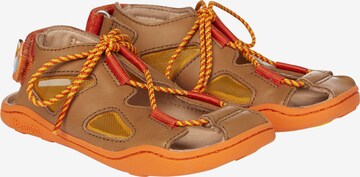 Affenzahn Sandals 'Löwe' in Brown