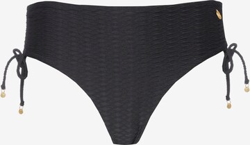 Ten Cate Bikini Bottoms in Black: front