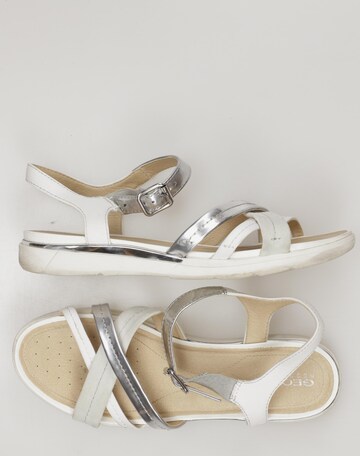 GEOX Sandals & High-Heeled Sandals in 40 in White: front