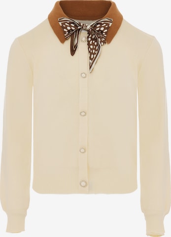 NAEMI Strickjacke in Beige: Vorderseite