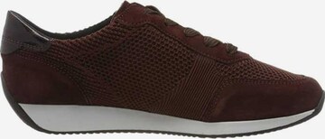 ARA Lace-Up Shoes in Brown