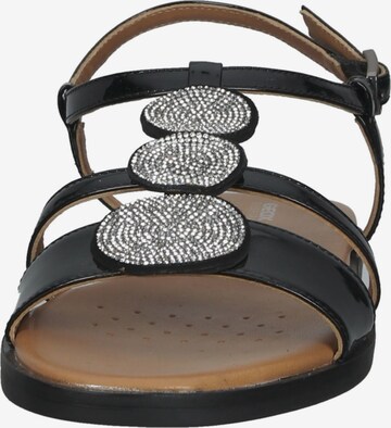 GEOX Sandalen met riem in Zwart