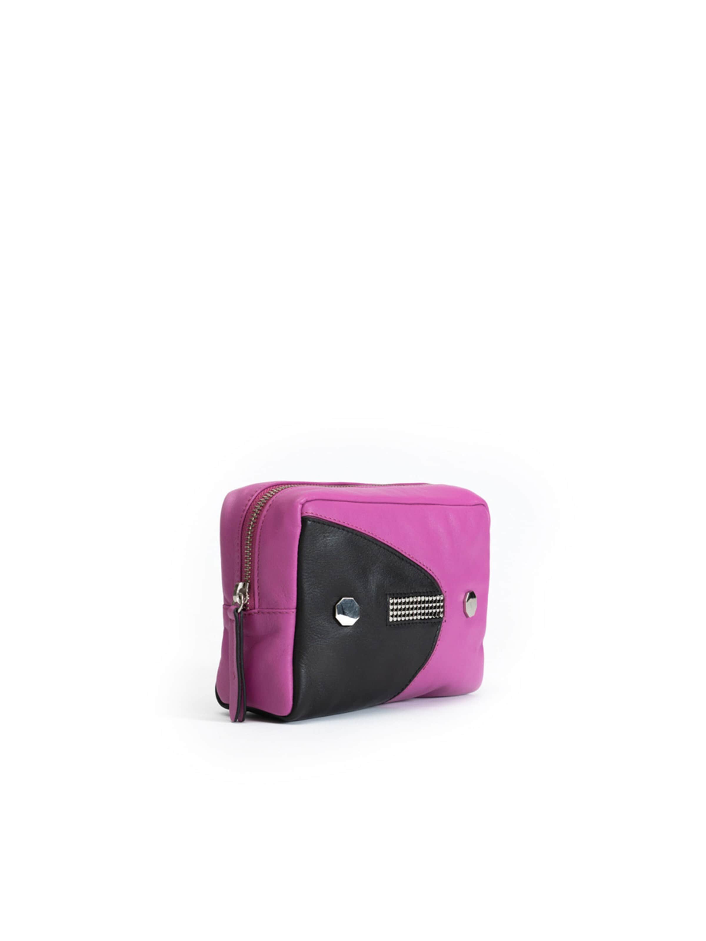 Clio Case in Purple