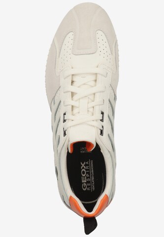 GEOX Sneakers in White